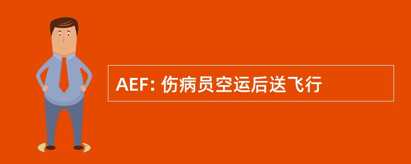 AEF: 伤病员空运后送飞行