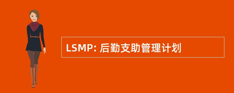 LSMP: 后勤支助管理计划