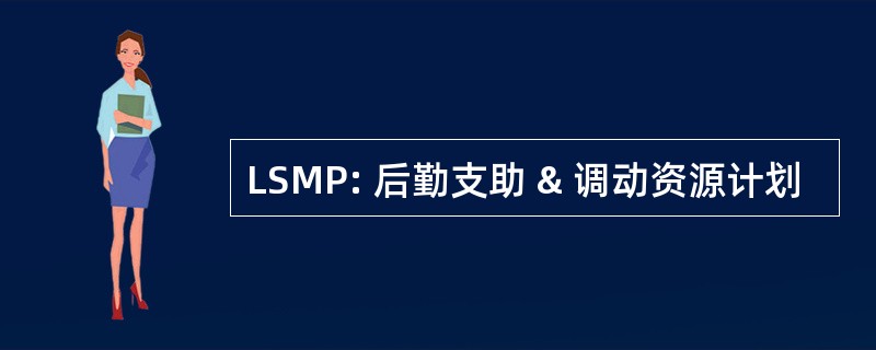 LSMP: 后勤支助 & 调动资源计划