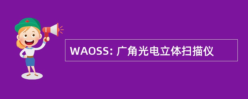 WAOSS: 广角光电立体扫描仪