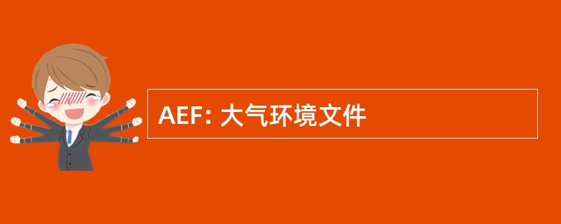 AEF: 大气环境文件