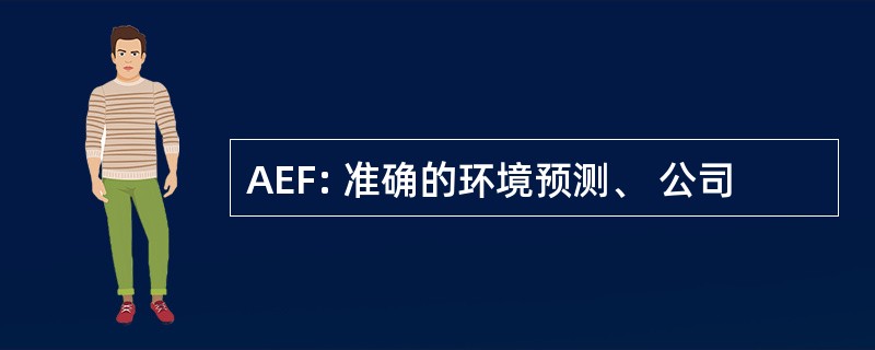 AEF: 准确的环境预测、 公司