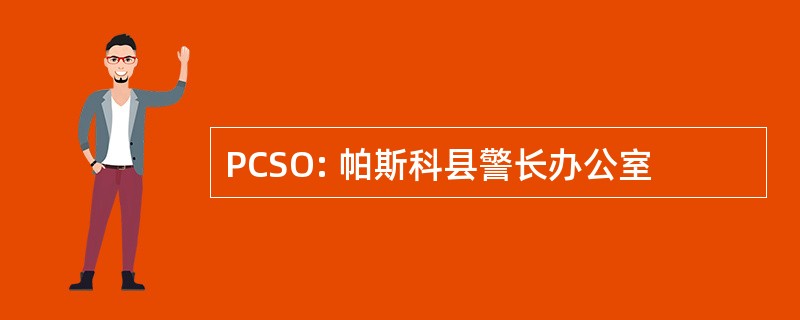 PCSO: 帕斯科县警长办公室