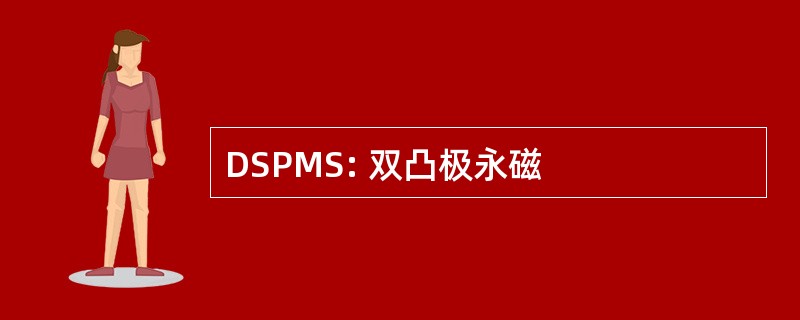 DSPMS: 双凸极永磁