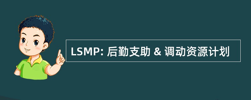 LSMP: 后勤支助 & 调动资源计划