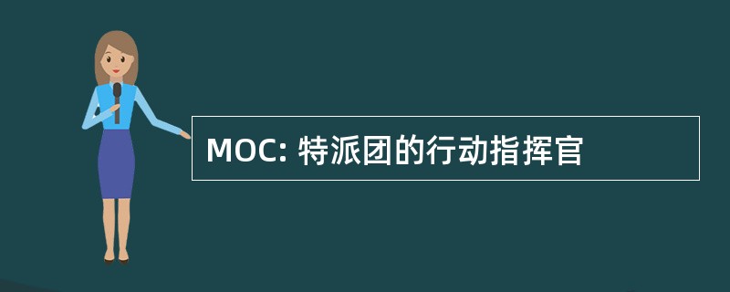 MOC: 特派团的行动指挥官