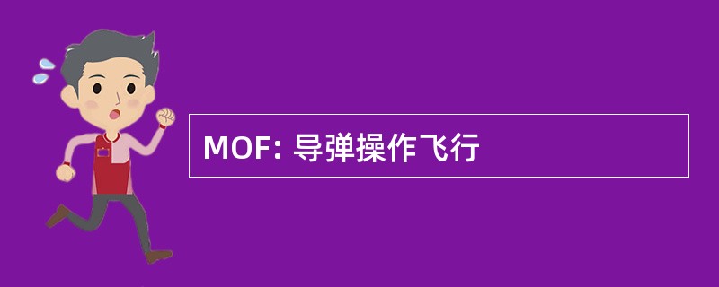 MOF: 导弹操作飞行