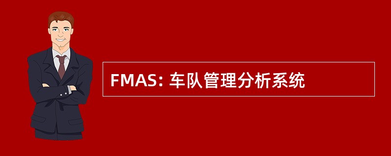 FMAS: 车队管理分析系统