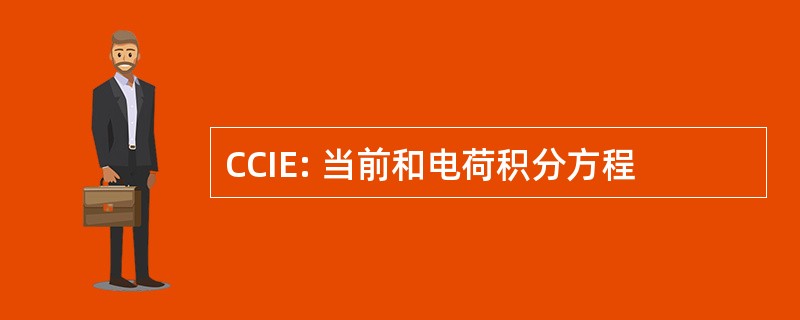 CCIE: 当前和电荷积分方程