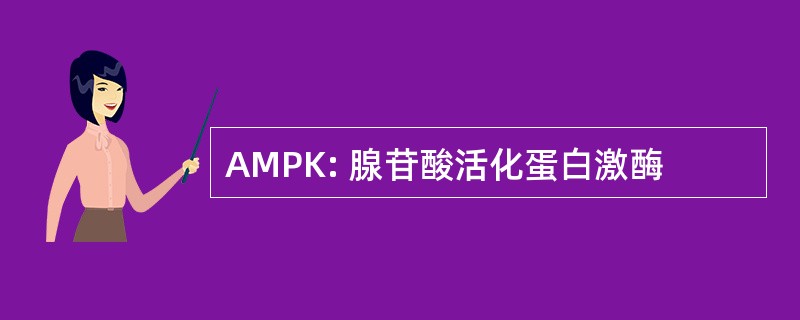 AMPK: 腺苷酸活化蛋白激酶