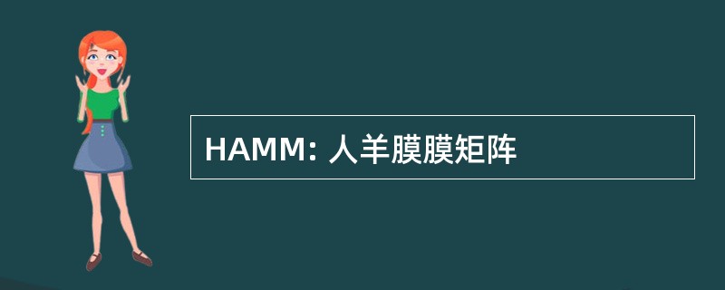 HAMM: 人羊膜膜矩阵