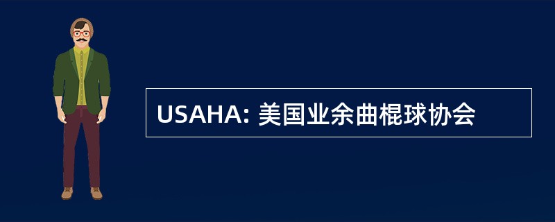 USAHA: 美国业余曲棍球协会