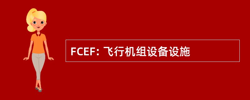 FCEF: 飞行机组设备设施