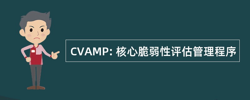 CVAMP: 核心脆弱性评估管理程序