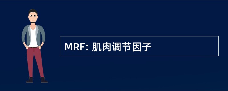 MRF: 肌肉调节因子