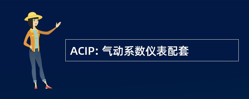 ACIP: 气动系数仪表配套