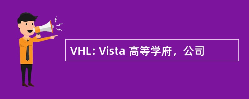 VHL: Vista 高等学府，公司