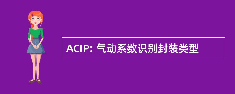 ACIP: 气动系数识别封装类型