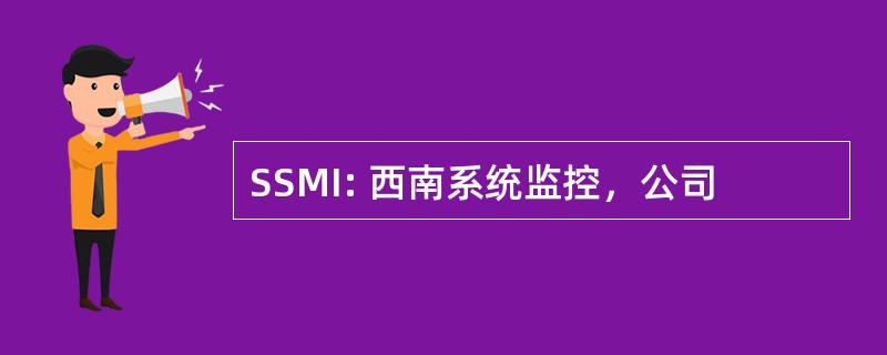 SSMI: 西南系统监控，公司