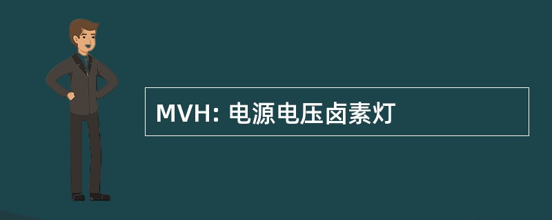 MVH: 电源电压卤素灯