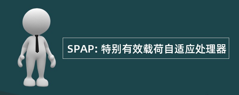 SPAP: 特别有效载荷自适应处理器