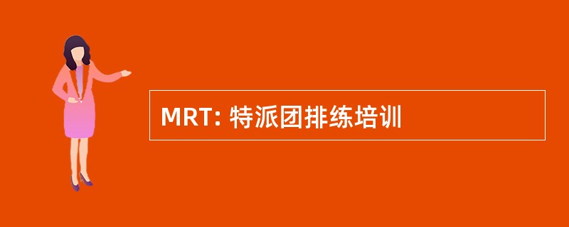 MRT: 特派团排练培训