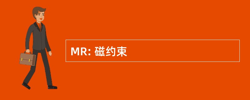 MR: 磁约束