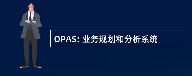 OPAS: 业务规划和分析系统