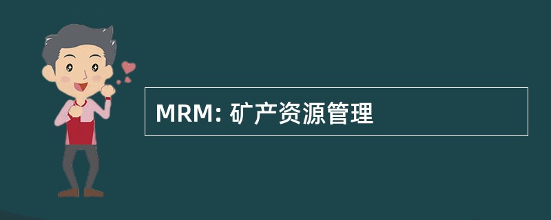 MRM: 矿产资源管理