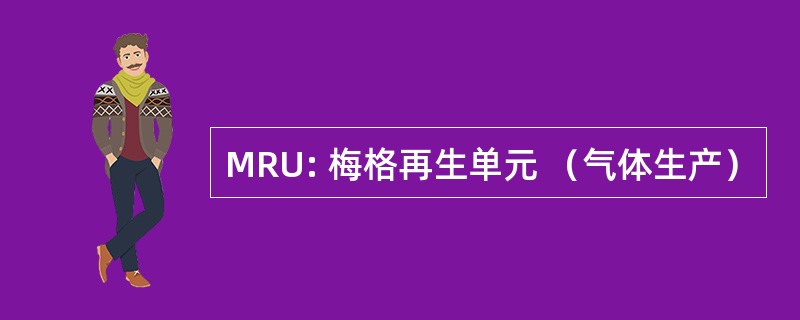 MRU: 梅格再生单元 （气体生产）