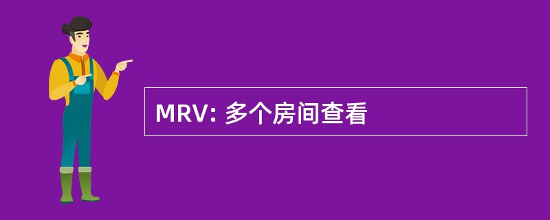 MRV: 多个房间查看