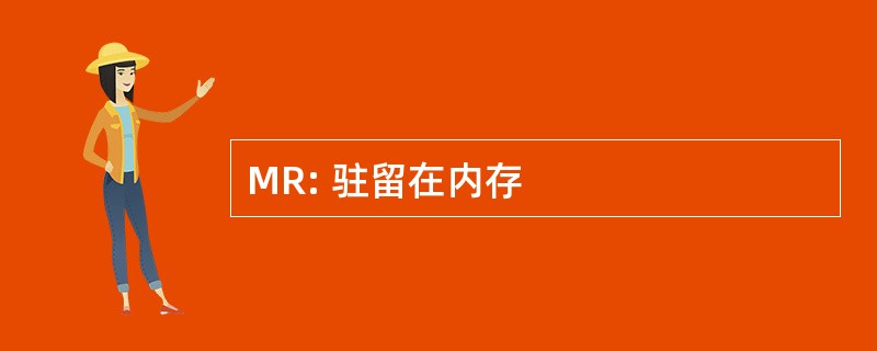 MR: 驻留在内存