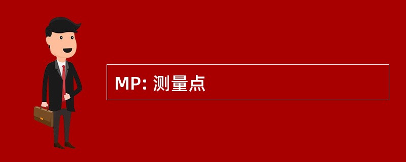 MP: 测量点