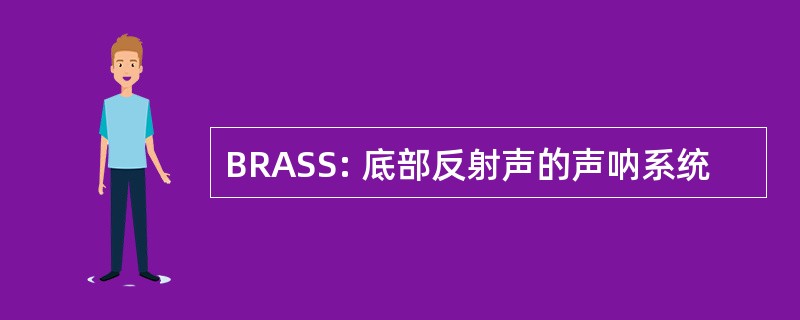 BRASS: 底部反射声的声呐系统