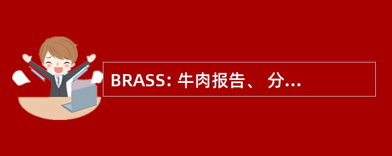 BRASS: 牛肉报告、 分析和状态系统