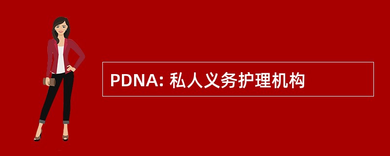 PDNA: 私人义务护理机构