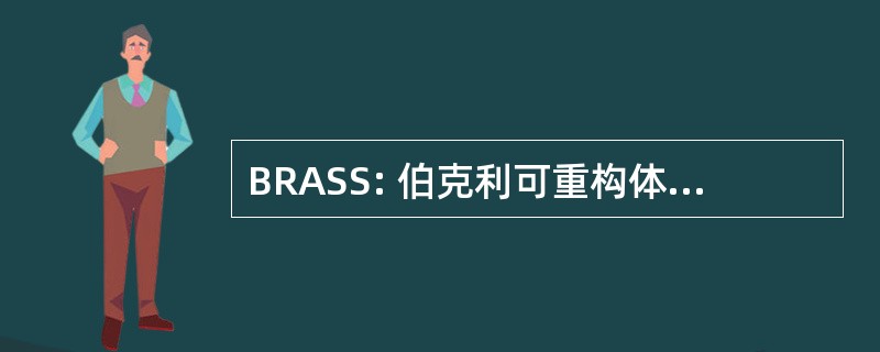 BRASS: 伯克利可重构体系结构、 系统和软件