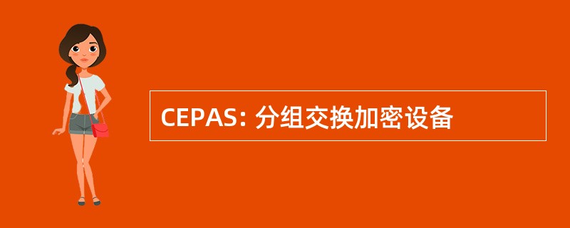 CEPAS: 分组交换加密设备