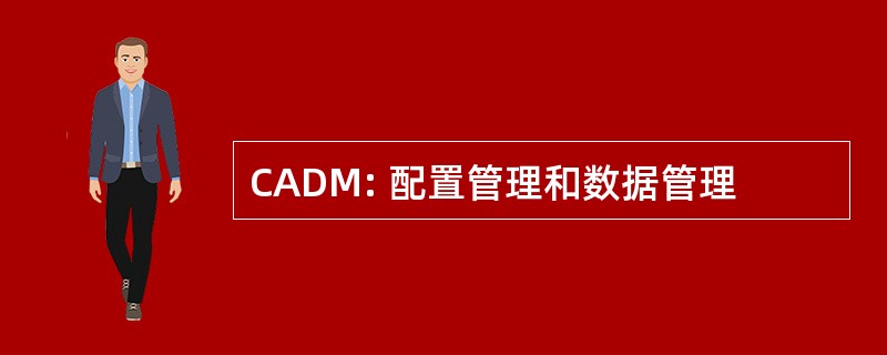 CADM: 配置管理和数据管理