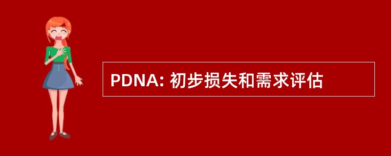 PDNA: 初步损失和需求评估