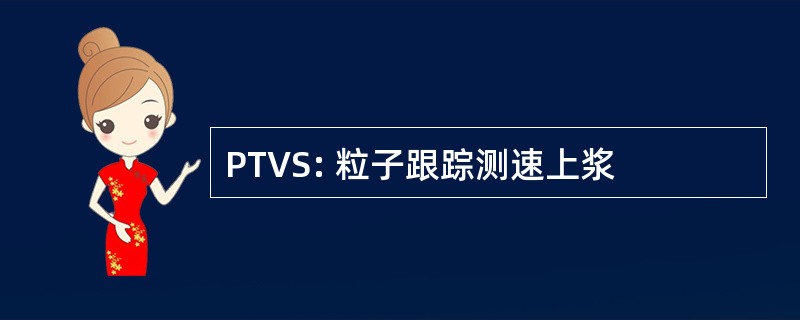 PTVS: 粒子跟踪测速上浆