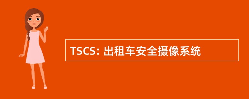 TSCS: 出租车安全摄像系统