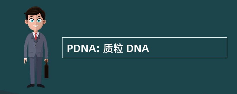 PDNA: 质粒 DNA