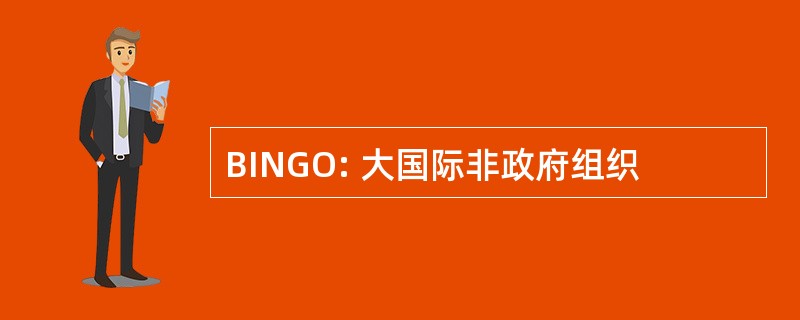 BINGO: 大国际非政府组织