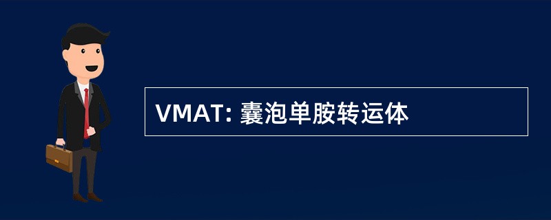 VMAT: 囊泡单胺转运体