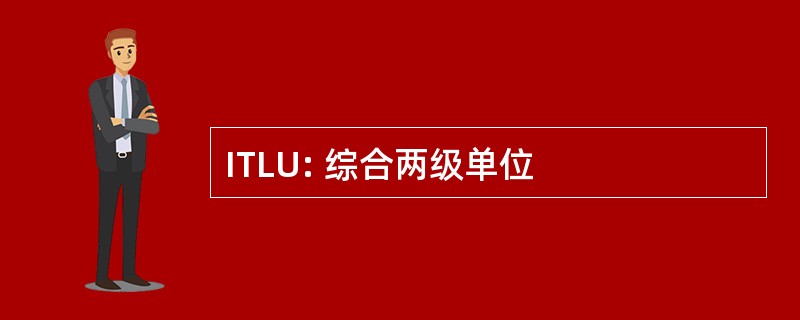 ITLU: 综合两级单位