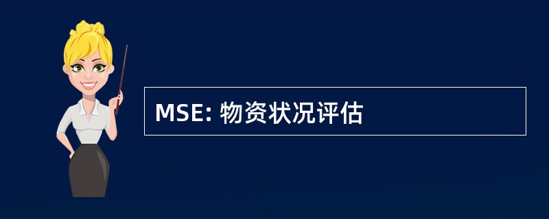 MSE: 物资状况评估