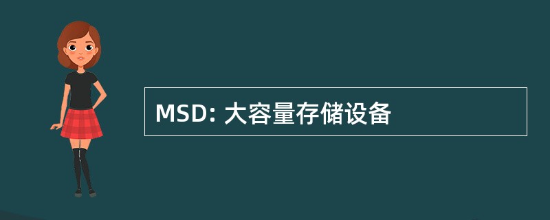 MSD: 大容量存储设备