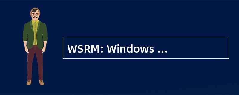 WSRM: Windows 系统资源管理器