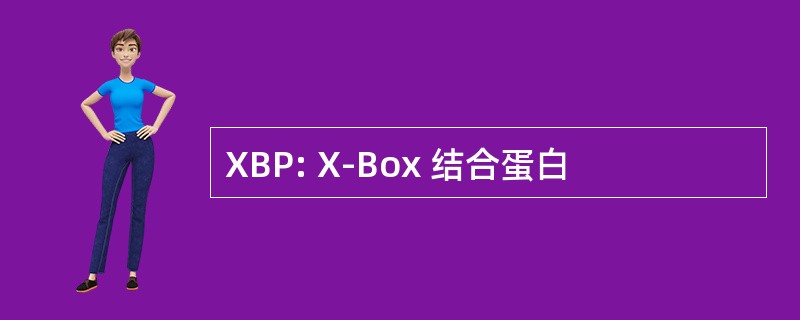 XBP: X-Box 结合蛋白